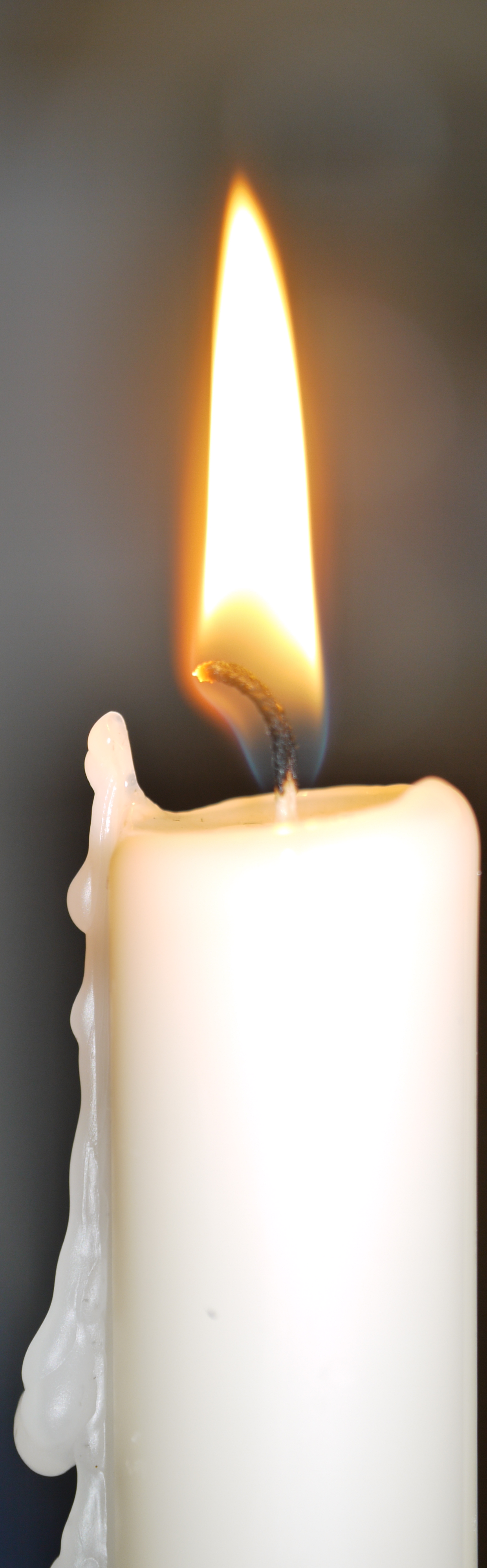 Sisters of the New Covennnt